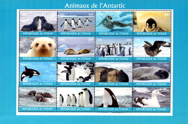 Congo 2017 Antarctica Animals Penguins Seals Water Birds Dolphin 16v Mint Full Sheet.