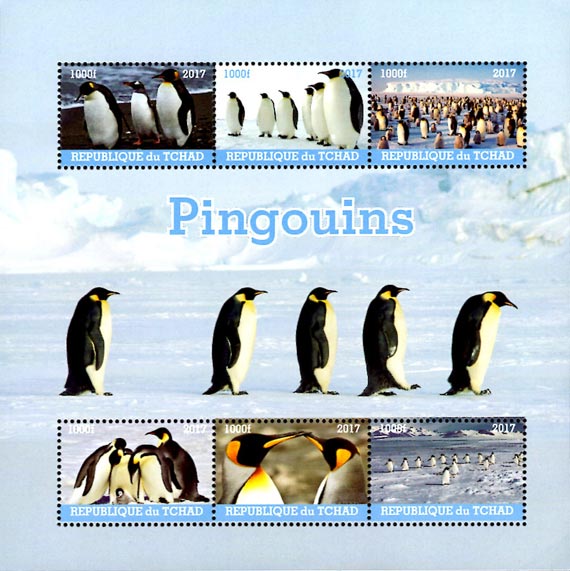 Chad 2017 Penguin Birds Antarctica Animals 6v Mint Souvenir Sheet S/S.