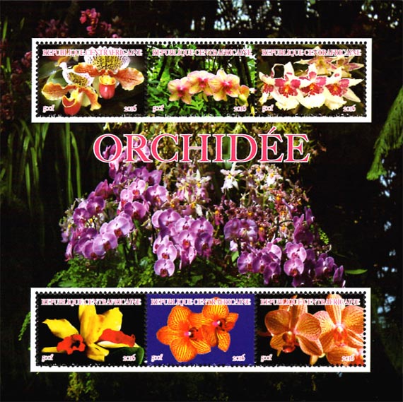 Central Africa 2015 African Orchid Flowers 6v Mint Souvenir Sheet S/S.