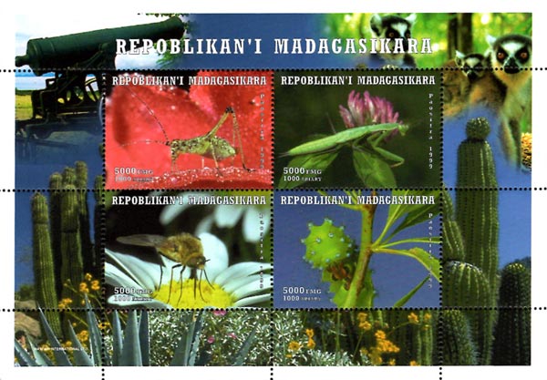 Madagascar 1999 Insects Flowers Cactus 4v Mint Souvenir Sheet S/S.