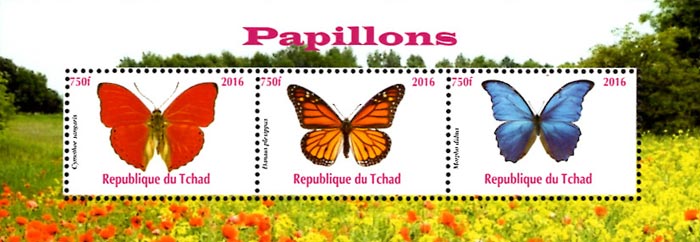 Chad 2016 Moth Butterfly 3v Mint Souvenir Sheet S/S.