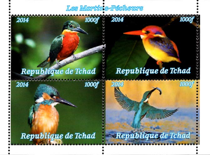Chad 2014 Kingfisher Birds 4v Mint Souvenir Sheet S/S.