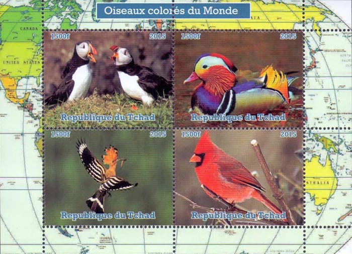 Chad 2015 Colorful Birds Wildlife Nature 4v Mint Souvenir Sheet S/S.