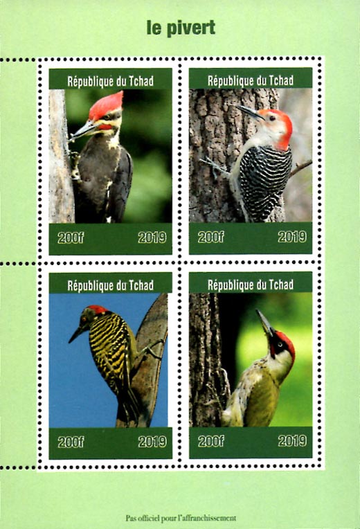 Chad 2019 Woodkeeper Birds 4v Mint Souvenir Sheet S/S.