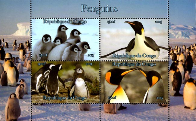 Congo 2015 Penguin Birds 4v Mint Souvenir Sheet S/S.