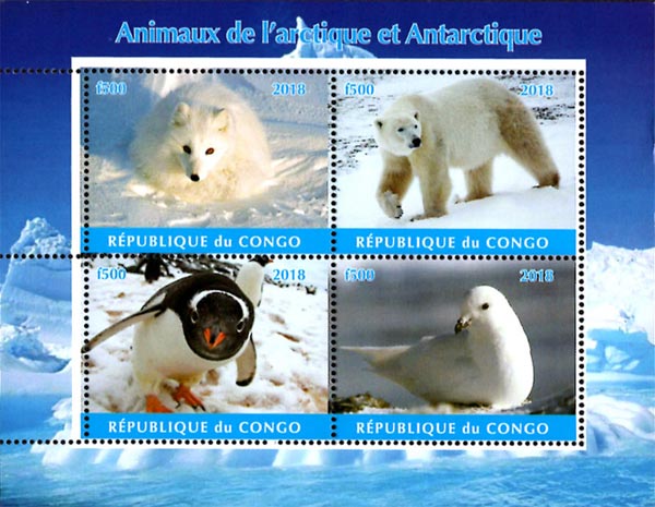 Congo 2018 Antarctic Animals Bear Penguin Bird 4v Mint Souvenir Sheet S/S.