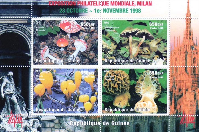 Guinea Rep. 1998 Mushrooms Fungi Int. Stamp Exhibition Pilze Flora 4v Mint Souvenir Sheet S/S.