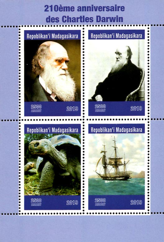 Madagascar 2019 Charles Darwin Turtle Ship 4v Mint Souvenir Sheet S/S.