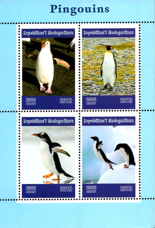 Madagascar 2019 Penguin Birds 4v Mint Souvenir Sheet S/S.
