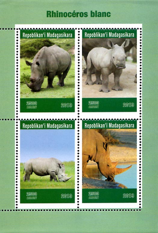 Madagascar 2019 Rhino African Wild Animals 4v Mint Souvenir Sheet S/S.