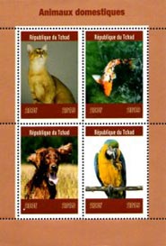 Chad 2019 Dog Cat Bird Fish Domestic Animals 4v Mint Souvenir Sheet S/S.