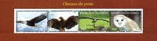 Congo 2017 Birds of Prey Eagle Owl 4v Mint Souvenir Sheet S/S.