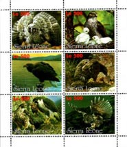 Sierra Leone 1998 Birds of Prey Eagle Owl 6v Mint Souvenir Sheet S/S.