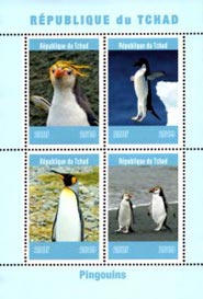 Chad 2019 Penguins Birds 4v Mint Souvenir Sheet S/S.
