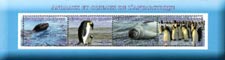 Congo 2017 Penguin Birds Antarctica Animals 4v Mint Souvenir Sheet S/S.