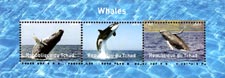Chad 2016 Whale Fishes 3v Mint Souvenir Sheet S/S.