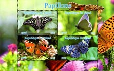 Chad 2015 Butterfly Moth Flowers 4v Mint Souvenir Sheet S/S.