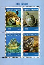 Madagascar 2019 Green Sea Turtle Reptiles 4v Mint Souvenir Sheet S/S.